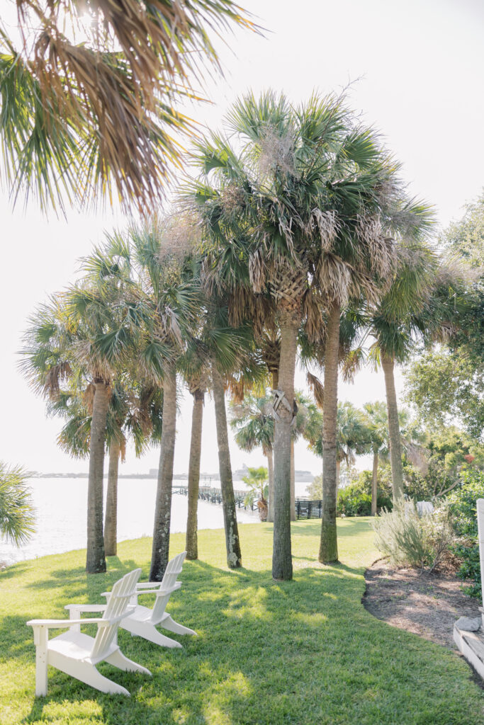 Charleston sc wedding photographer | palmetto trees in the sunshine