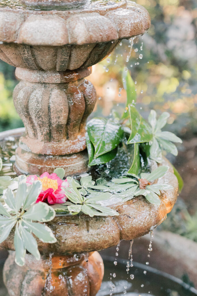 south carolina photographer | fountain with flowers in it at river road jasmine house