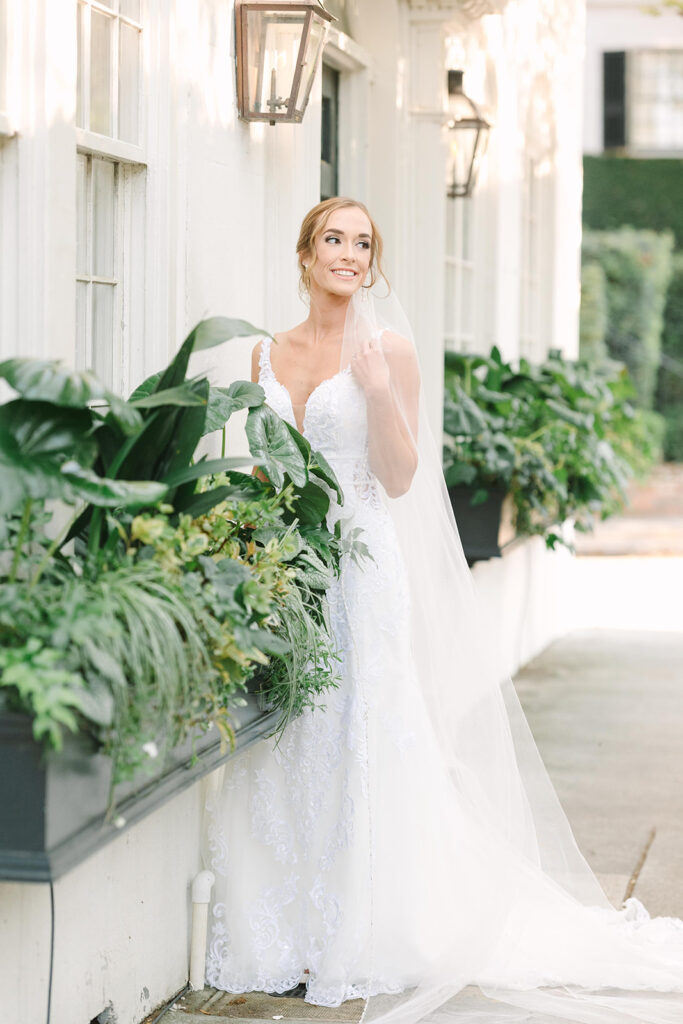 bridal portraits in Charleston | Bride between window boxes filled with greenery
