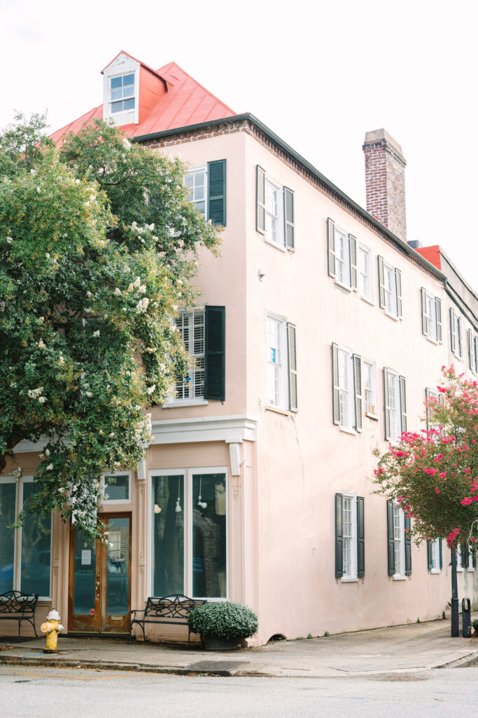 Downtown Charleston senior portrait with historic homes and cobblestone streets photographed by Stee Garman Photography