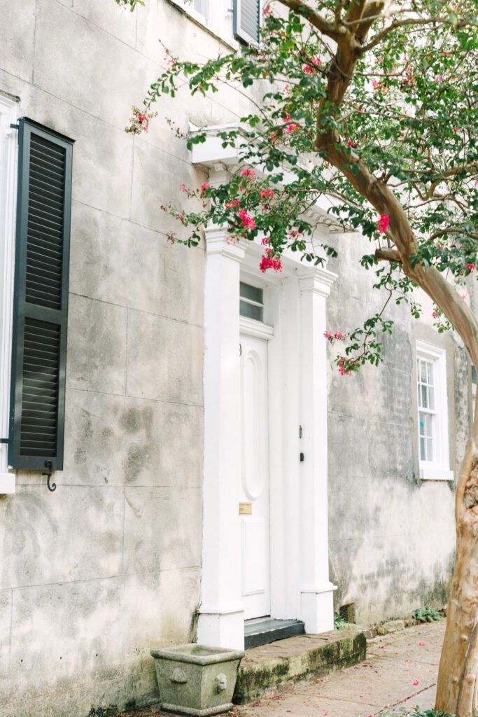 Downtown Charleston senior portrait session with historic homes and cobblestone streets photographed by Stee Garman Photography.